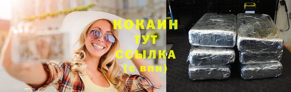спиды Каменка