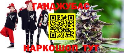 шишки Тверь