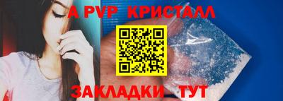 шишки Тверь
