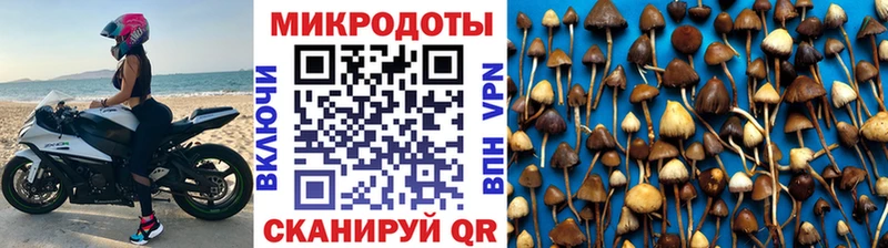 цена наркотик  Мурино  Псилоцибиновые грибы Cubensis 