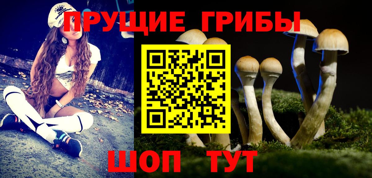 Галлюциногенные грибы GOLDEN TEACHER Мурино