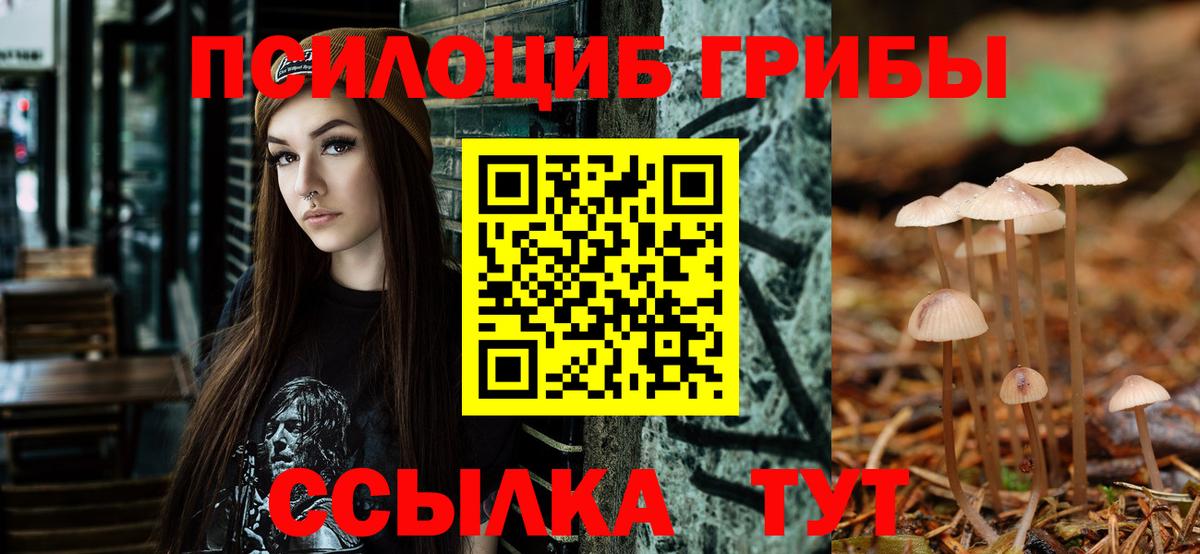 Мурино  Псилоцибиновые грибы Psilocybe  Вход с VPN 